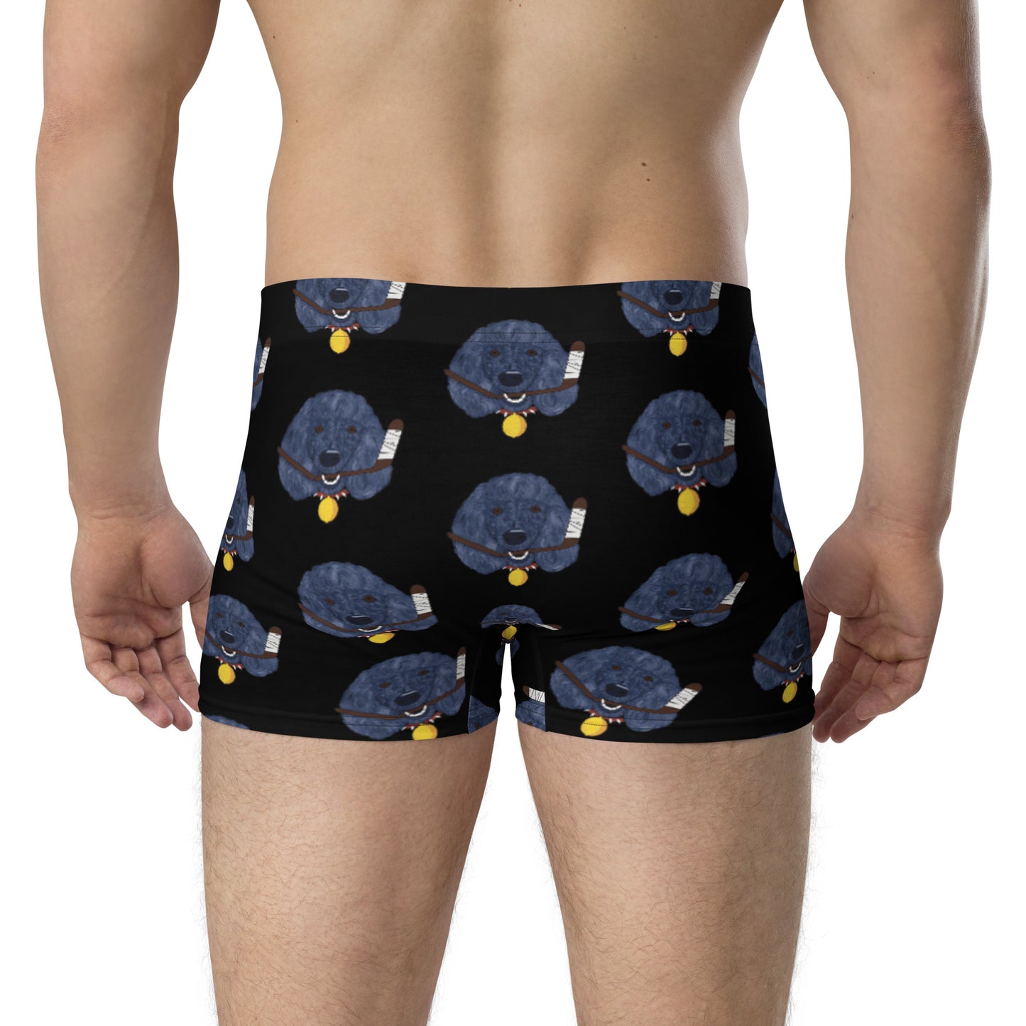 Lemon Citrus Standard Poodles Boxer Briefs