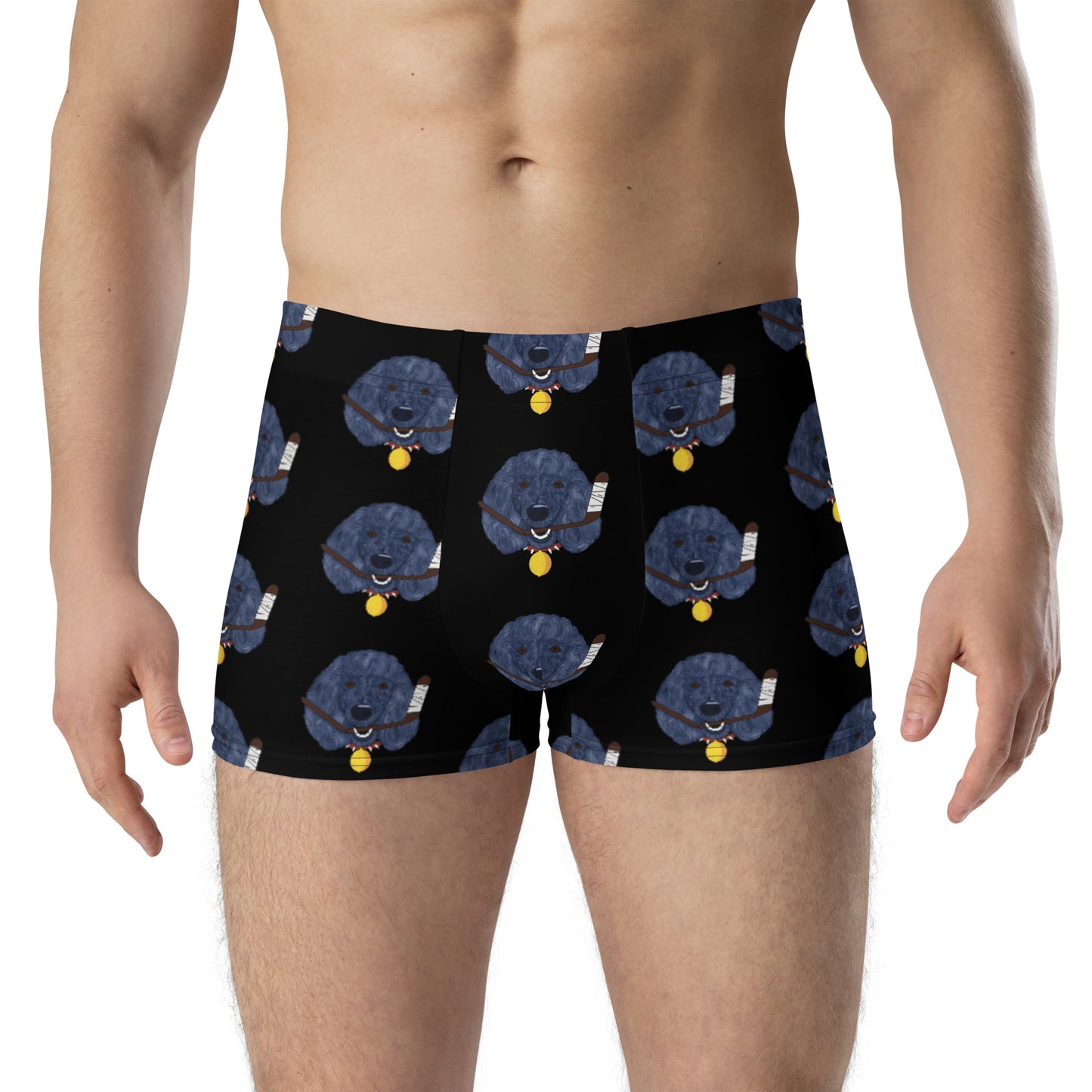 Lemon Citrus Standard Poodles Boxer Briefs