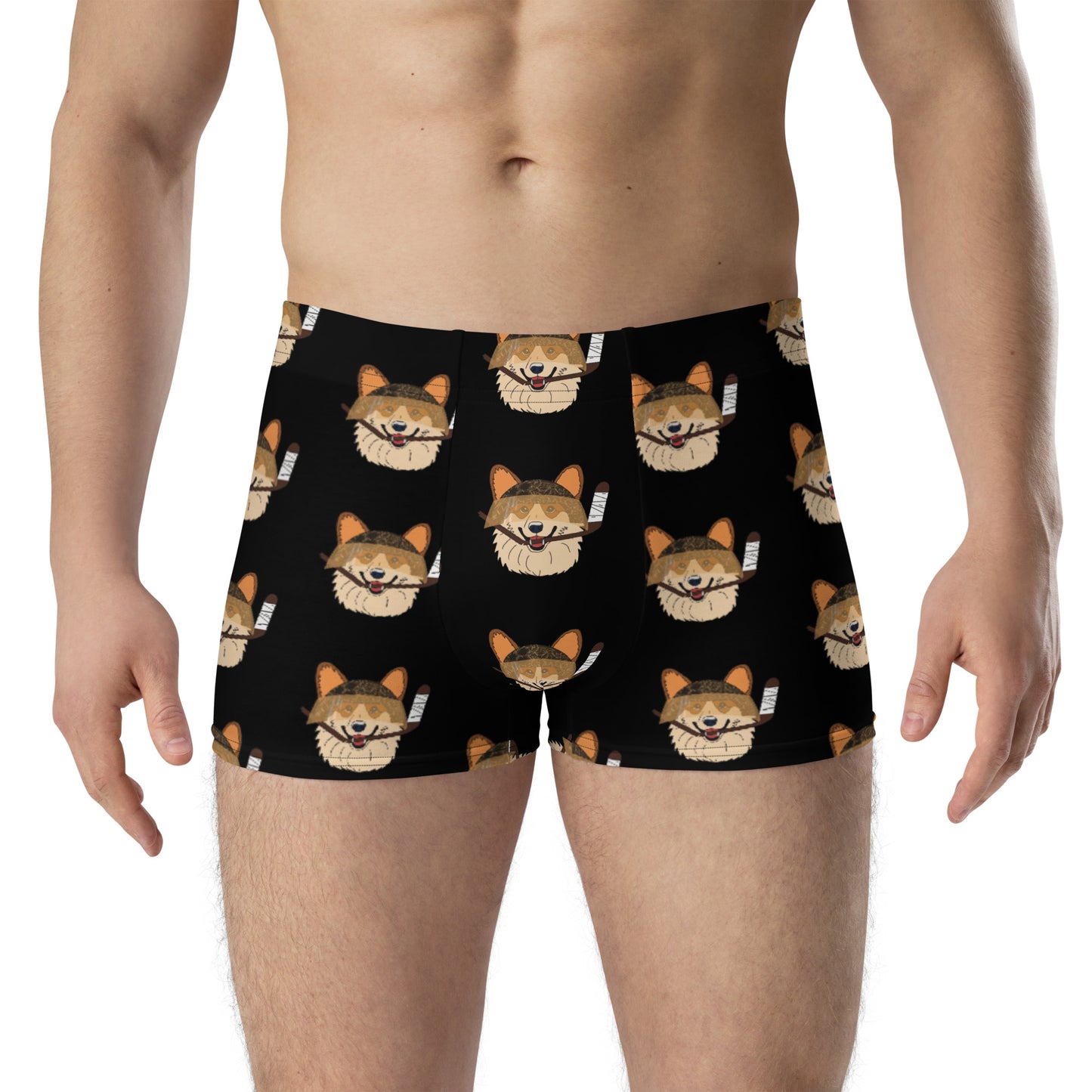 Coconut Corgis Boxer Briefs