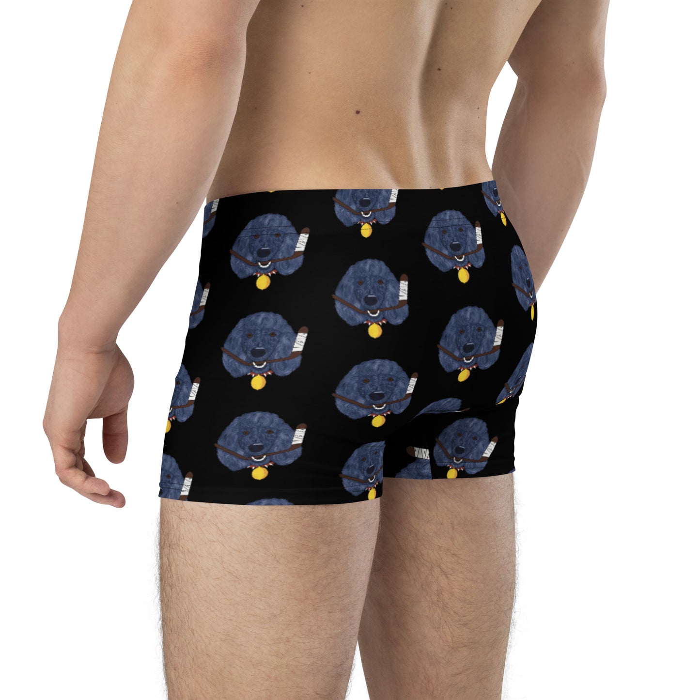 Lemon Citrus Standard Poodles Boxer Briefs