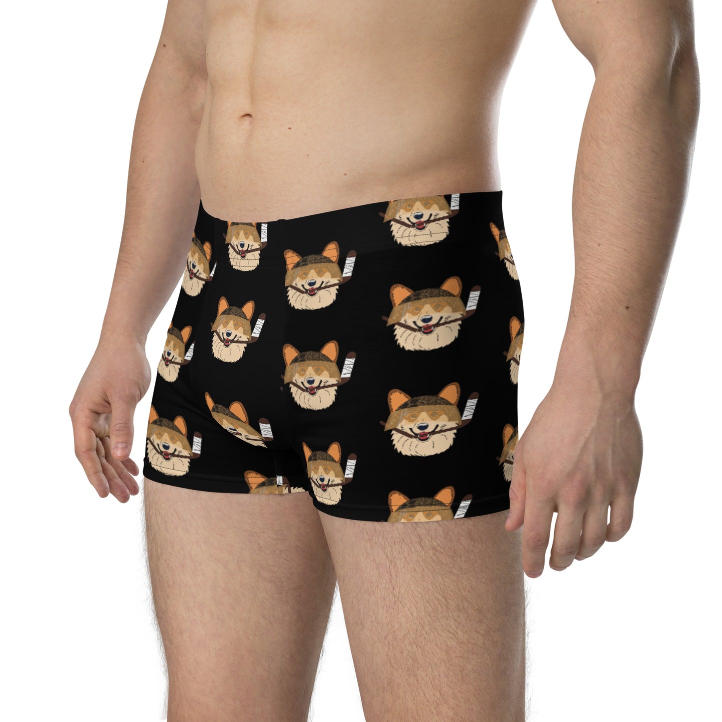 Coconut Corgis Boxer Briefs