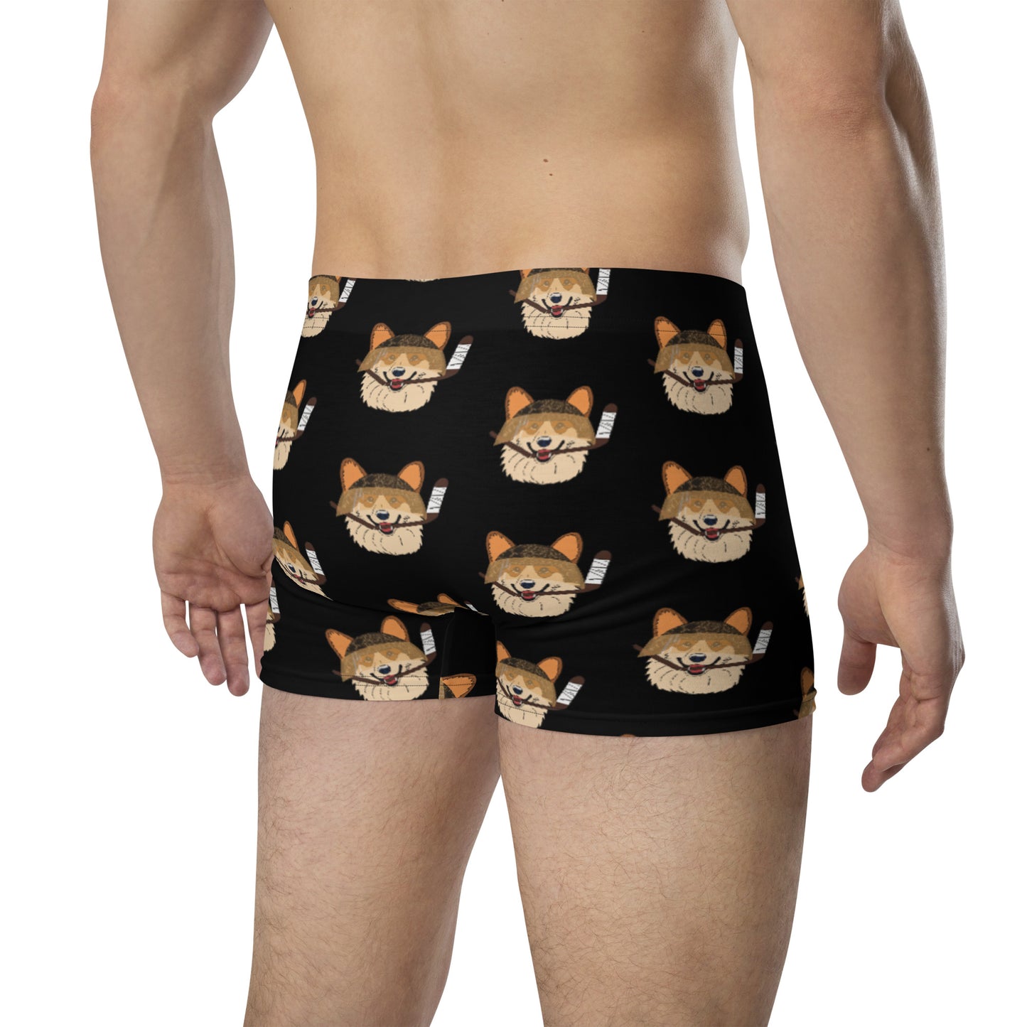 Coconut Corgis Boxer Briefs