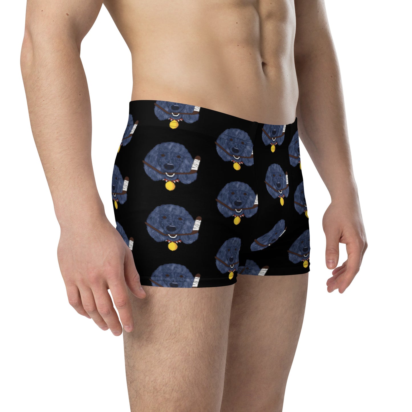 Lemon Citrus Standard Poodles Boxer Briefs