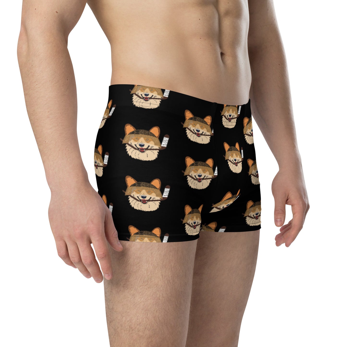 Coconut Corgis Boxer Briefs